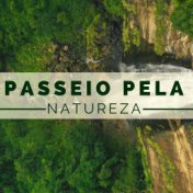 Passeio pela Natureza - 22 Canções para Limpar sua Mente, Natureza e Chuva