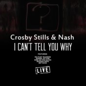 I Can't Tell You Why (Live)