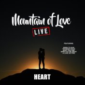 Mountain Of Love (Live)