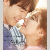 Uncontrollably Fond OST