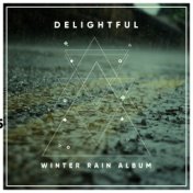 #19 Delightful Winter Rain Album