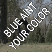 Blue Ain't Your Color - Tribute to Keith Urban