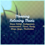 Morning Relaxing Music: Stress Relief, Background, Instrumental, Piano, Study, Sleep, Yoga, Meditation