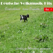 Deutsche Volksmusik Hits - Deutschland, deine Dialekte! Lieder in Mundart gesungen, Vol. 1