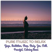 Pure Music To Relax, Yoga, Meditation, Sleep, Study, Zen, Chill, Peaceful, Calming Mood