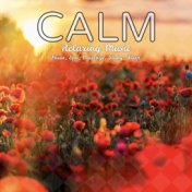 Calm Relaxing Music: Focus, Spa, Massage, Study, Sleep