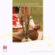 Trust in Tranquility (In Harmony with Classical Music)