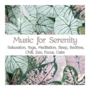 Music For Serenity: Relaxation, Yoga, Meditation, Sleep, Bedtime, Chill, Zen, Focus, Calm