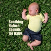 Soothing Nature Sounds for Baby – Healing Music for Deeper Sleep, Sleep Songs for Kids, Calming Lullabies at Night, Zen Sleep, S...