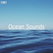 !!#1 Ocean Sounds