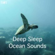 !!#1 Deep Sleep Ocean Sounds