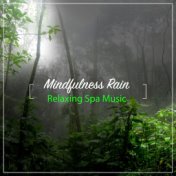 15 Mindfulness Rain and Nature Sounds - Relaxing Spa Music