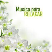 Musica para Relaxar - Musicas New Age Instrumentais para Relaxamento, Yoga e Meditação Diaria