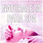 Naturaleza para Spa - Música New Age para la Relajación, el Yoga y la Meditación, la Música de Fondo para el Masaje, el Sonido d...