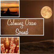 Calming Ocean Sound - White Noises for Sleeping Therapy, Healing Sounds of Nature for Deep Sleep, Relax and Fall Asleep Easily