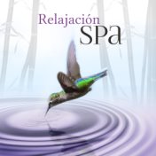 Relajación Spa - Sonidos de la Naturaleza, la Música para Ayurveda Yoga y se Calmen, Bienestar, Meditación Música, Música para S...