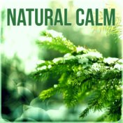 Natural Calm - Walking Music, Training for Walking, Chillout Relaxing Music, Calmness Sounds, Musical Pieces to Relax, Sport & H...