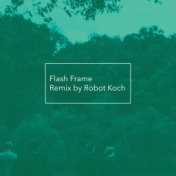 Flash Frame (Robot Koch Remix)