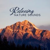 Relaxing Nature Sounds – Healing Music for Pure Mind, Reduce Stress, Nature Music, Inner Harmony, Calming Sounds After Work, For...
