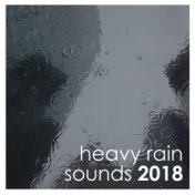 #25 Heavy Rain & Nature Sounds - Thunder & Lightning