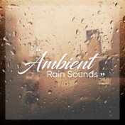 2018 Ambience - Rain and Nature Compilation