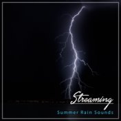 #18 Streaming Summer Rain Sounds