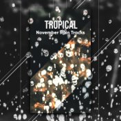 #21 Tropical November Rain Tracks