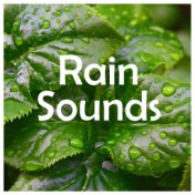 19 Stress Reducing Nature Sounds: Rain, Thunder & Lightning