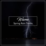 #20 Warm Spring Rain Tracks