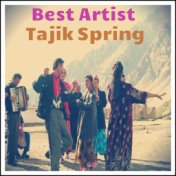 Best Artist Tajik Spring 2013