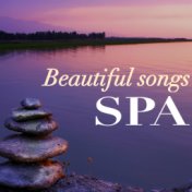 50 Beautiful Spa Songs - Wellness Center Music Collection, Luxury Natural Background