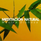 Meditación Natural - Música Dichosa para Lleno de Calma, Hipnosis Mente, Practica tu Zen, Relajación Positiva con Buda