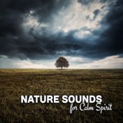 Nature Sounds for Calm Spirit – Meditation Sounds, Nature Waves, Healing Therapy, New Age Rest, Relaxing Music for Mind & Body