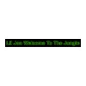 Lil Jon Welcome To The Jungle