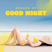 Sounds of Good Night: 2020 Delicate Ambient Sunset Chillout Music, Ideal Electronic Waves for Deep Sleep Experience, Total Relax...