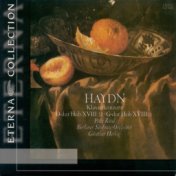 Haydn: Keyboard Concertos, Hob.XVIII:4 and 11 / Mozart: 9 Variations on a Minuet by Duport