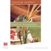 Classical Comfort - Trust in Tranquility (In Harmony with Classical Music)