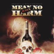 Mean No Harm Rmx