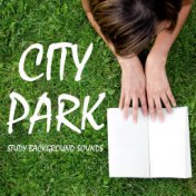 Study Background Sounds: City Park