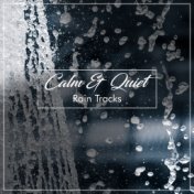 #2018 Calm & Quiet Rain Tracks