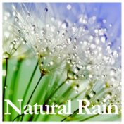 17 Rain and Nature Relaxing Sounds for Sleep, Meditation and Relaxation