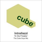 In Da Freaks (The Cube Guys Mix)