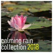 #25 Nature and Rain Sounds - Perfect Relaxation Music Therapy