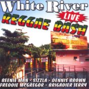 White river reggae bash (live)