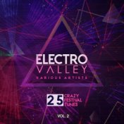 Electro Valley (25 Crazy Festival Tunes), Vol. 2