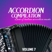 Accordion compilation vol. 7 (Best of italian accordion music)