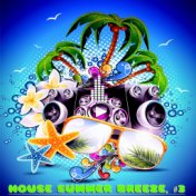 House Summer Breeze, #3 (20 House DJ Tracks)