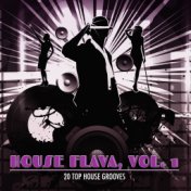 House Flava, Vol. 1 (20 Top House Grooves)