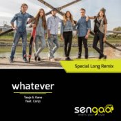 Whatever (Special Long Remix)