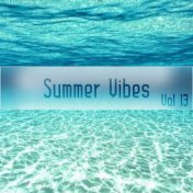Summer Vibes, Vol. 13